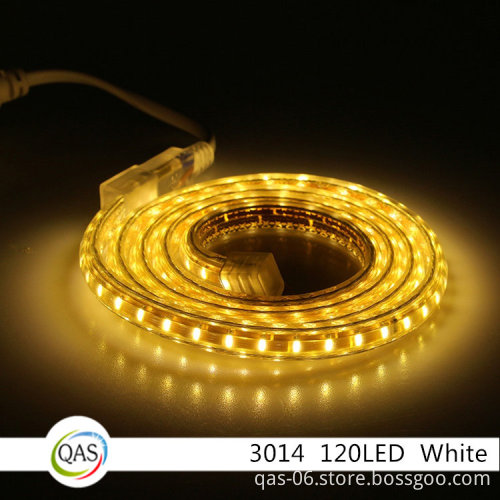 120led/m 3014 AC110 220v waterproof IP68 strip flex outdoor strip